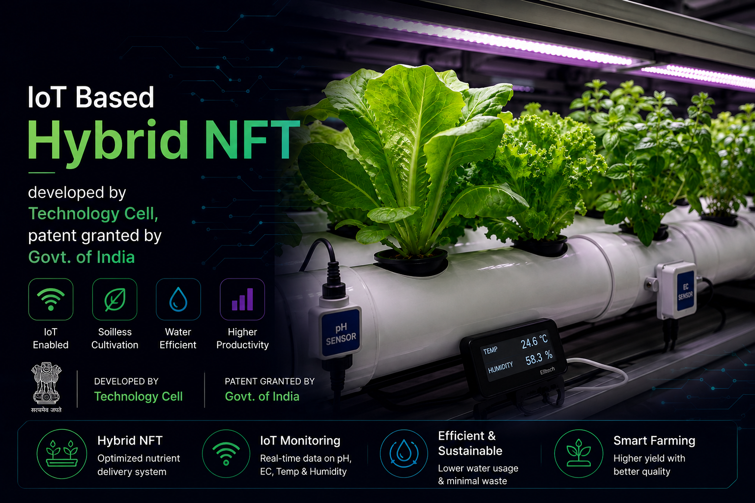 Hybrid NFT